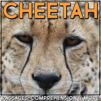 Preview of Cheetah Nonfiction Animal Research Reading Passage and Comprehension Activities