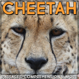 Cheetah Nonfiction Animal Research Reading Passage and Com