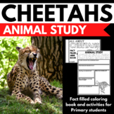 Cheetah Research Project | Animal Research | Biome Project