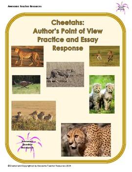Preview of Cheetahs: Author’s Point of View Practice and Essay Response