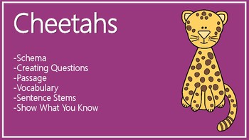 Preview of Cheetahs Schema, Questions, Passage, Vocabulary, Sentence Stems