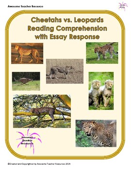 Preview of Cheetahs vs Leopards: Reading Comprehension and Essay Response