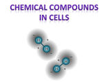 Chemical Composition in Cells (Molecules of Life)