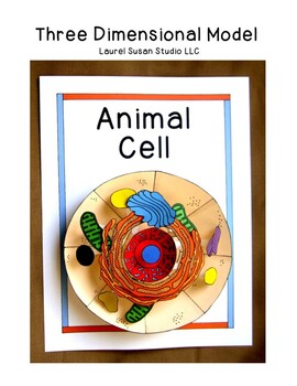 Biology Animal Cell Model 3 Dimensional Project Nucleus Distance Learning