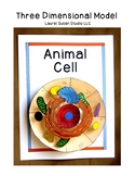 Biology Animal Cell Model 3 Dimensional Project Nucleus Di