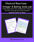 Chemical Reactions Lab - Vinegar & Baking Soda