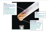 Chemical Reactions Two