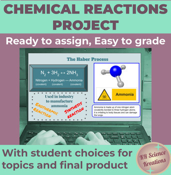 Preview of Chemical Reactions UDL Research Project
