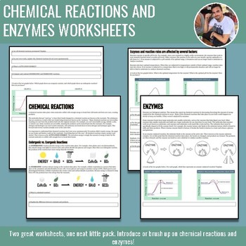 Preview of Chemical Reactions and Enzymes Worksheet Bundle