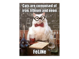 Chemistry Cat Jokes for Physical Science