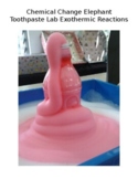 Chemistry Chemical Change Elephant Toothpaste Lab Exotherm