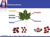 Chemistry - Rates of Reactions