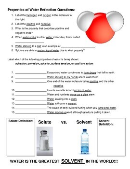 Preview of Chemistry of Water and Chemical Reactions Unit Notes for ESOL and SPED Students