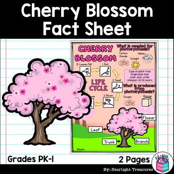 Preview of Cherry Blossom Fact Sheet for Early Readers - Plant Study