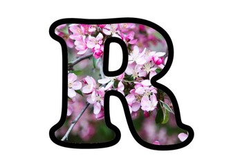 Preview of Cherry Blossoms Bulletin Board Letters, Numbers and Symbols, Spring Decor