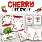Cherry Tree Life Cycle of a Plant Activities