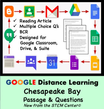 Preview of Chesapeake Bay Google Doc Article & Questions Distance Learning Friendly
