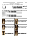 Chess: Chess Piece and Board Review Worksheet