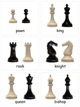 Names Of All The Chess Pieces (With Pictures & Facts)