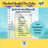 Chestnut-headed Bee Eater: Interactive, Student Paced Less