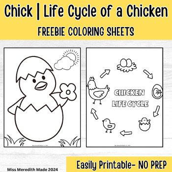 Preview of Chick | Chicken Coloring Sheets FREEBIE | Life Cycle of a Chicken coloring sheet