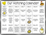 Chick Hatching Calendar