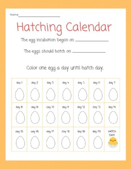 Preview of Chick Hatching Calendar