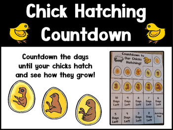 Preview of Chick Hatching Count down