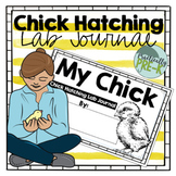 Chick Hatching Lab Observational Journal