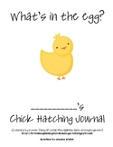 Chick Hatching Observation Journal