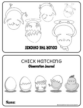 Preview of Chick Hatching Observational Journal