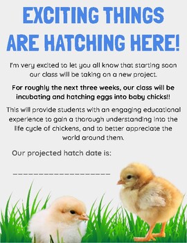 Preview of Chick Hatching Project Announcement Letter - egg incubation in the classroom