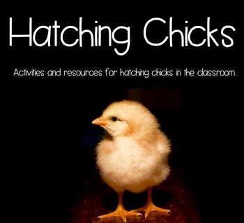 Preview of Chick Hatching Resource and Activity Packet