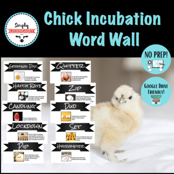 Preview of Chick Incubation/Hatching Word Wall! Animal Science, Agriculture Education, Bio