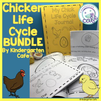 Preview of Chick Life Cycle BUNDLE!
