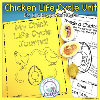 Preview of Chick Life Cycle Journal