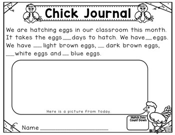chicken math activities for preschoolers