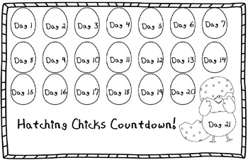 Preview of Chick Unit - Incubation/Hatching Countdown