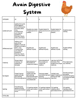 Preview of Chicken (Avian) Digestive System Project Rubric