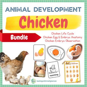 Preview of Animal Development - Chicken BUNDLE: Life Cycle, Egg/Embryo Anatomy, Observation