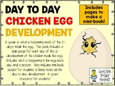 Chicken Egg Day to Day Development Slides and Mini-Notebook Pack
