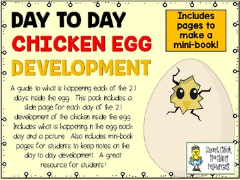 Preview of Chicken Egg Day to Day Development Slides and Mini-Notebook Pack