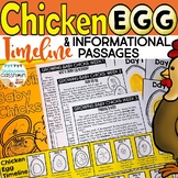 Chicken Egg Incubation Timeline & Passages | Chicken Life Cycle