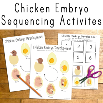 Preview of Chicken Embryo Development Activities, Chicken Egg Life Cycle Sequencing