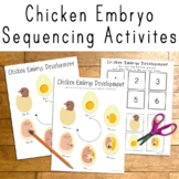 Chicken Embryo Development Activities, Chicken Egg Life Cy