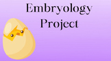 Chicken Embryology Project