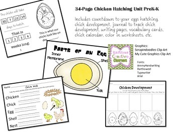 Preview of Chicken Hatching Unit - Prek K Science