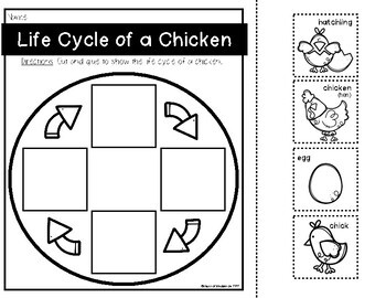 Chicken LIFE CYCLE Science ACTIVITIES Animals Grow & Change by Class of ...