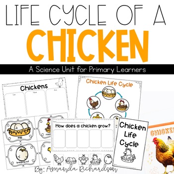 Preview of Chicken Life Cycle Worksheets, Life Cycle of a Chicken