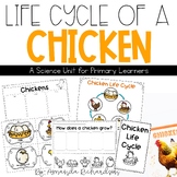 Chicken Life Cycle Worksheets, Life Cycle of a Chicken